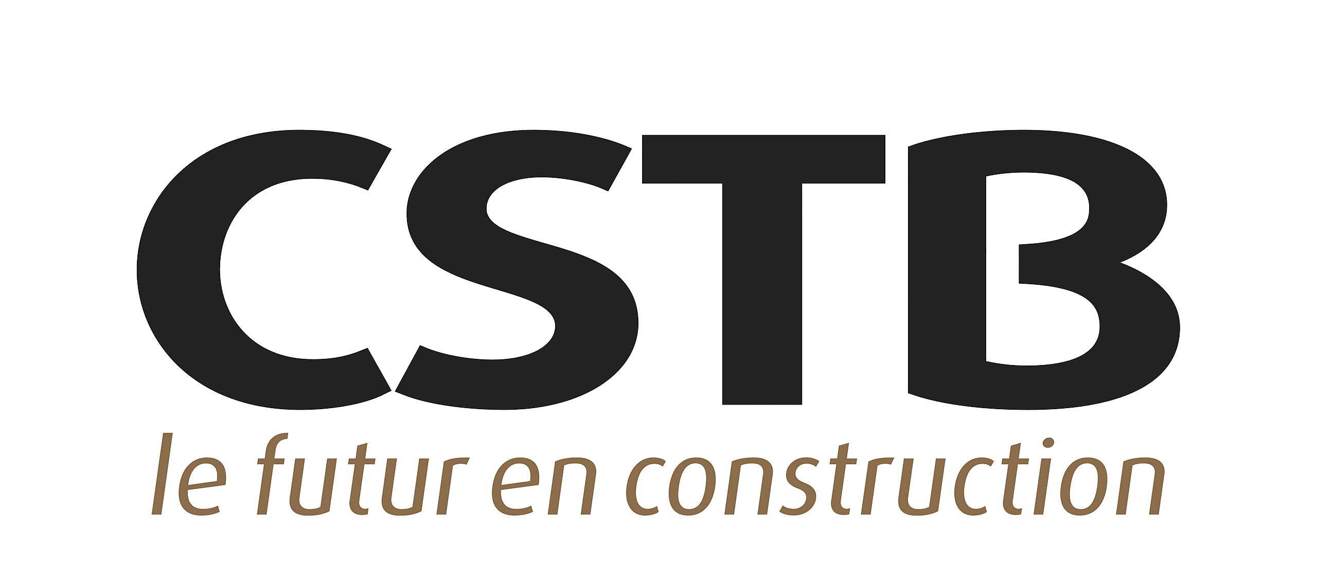 CSTB logo.jpg